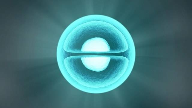 28f56ee10ac545072adfb881cef1c28.png